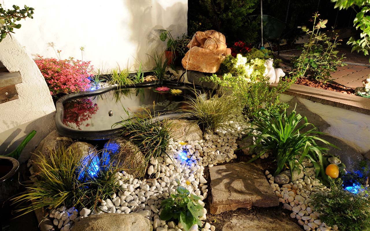 Stones and plants of an artificial lake